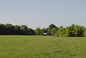 Field to South with Barn and Pond