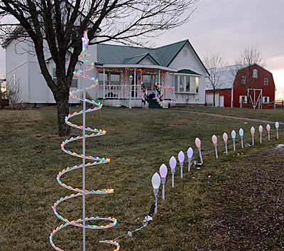 Holiday LED Lights
