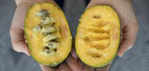 ripe paw paw cut open