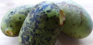 ripe paw paw skin