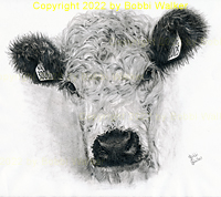 headshot-cow